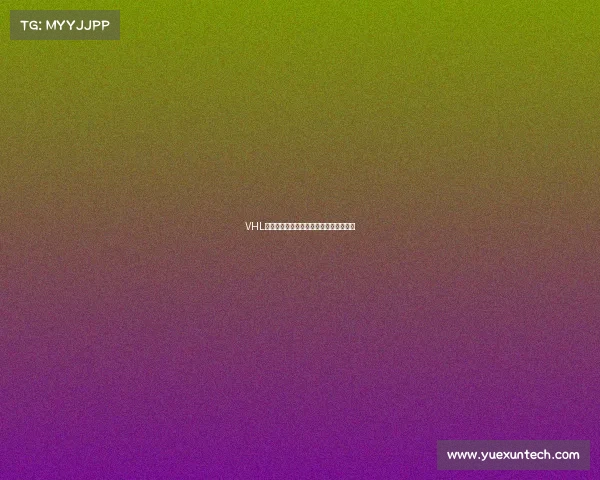 VHL冰球联赛激情开赛全球强队角逐终极荣耀